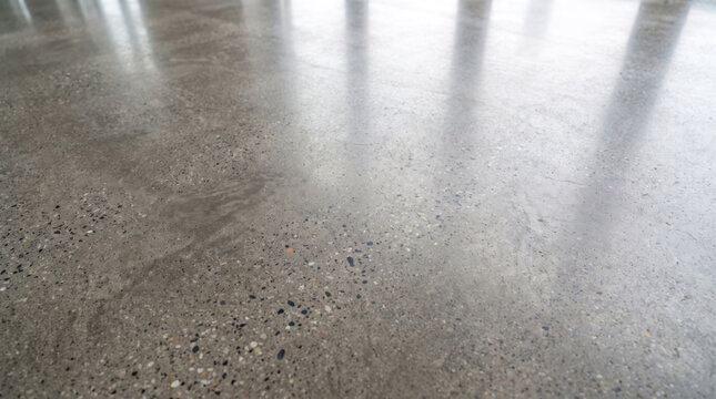 Polished Concrete Floor With Aggregate Speckle and Sheen