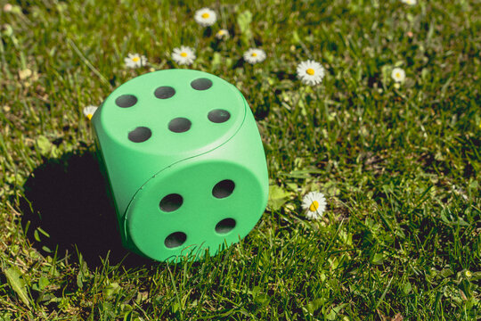 Bright Green Toy Die Showing Six on Grass with White Daisies and Sunlight Symbolizing Chance and Luck in Outdoor Games