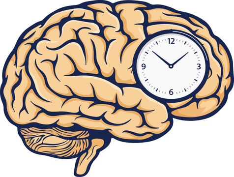 Human brain with embedded clock symbolizing time perception and cognitive awareness perfect for psychology and creative projects