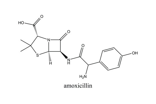 Chemical structure of amoxicillin, a broad-spectrum penicillin antibiotic widely used to treat bacterial infections. Isolated vector illustration on a white background.