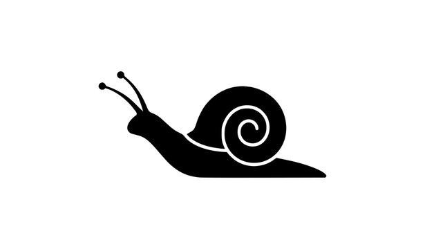 Modern Black Snail Silhouette Vector with Spiral Shell Minimal Nature Graphic on White Background