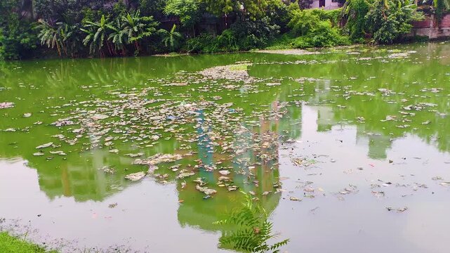 Piles of dirty garbage float in the gulshan lake water, with lush green nature and city apartment buildings in the background.