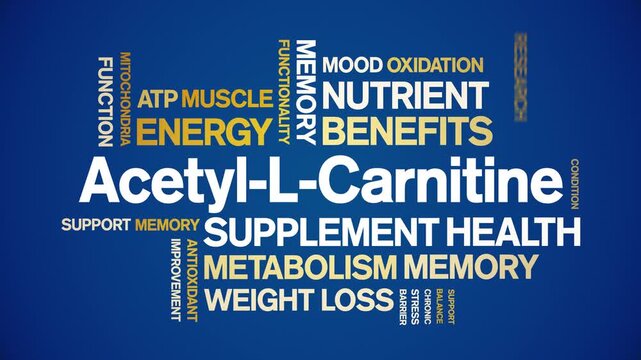 bulk l carnitine in azerbaijani Acetyl-L-Carnitine animated word cloud-text design animation tag kinetic typography seamless loop You must add at PRP Injections for Hair DarkUnderarms Size:25g - $550