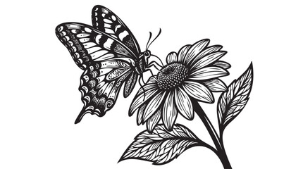 Vintage Etching Butterfly on Sunflower and Daisy. Antique Botanical Illustration, Monochrome Insect and Floral Sketch, Classic Engraving Style Art for Greetings and Crafts. © Uttom Kumar