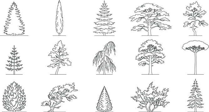 Decorative Tree Outline Vector Collection Featuring Evergreen Deciduous and Landscape Tree Illustrations