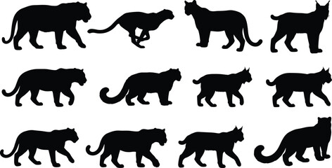 Set of wild big cat black silhouettes including tiger leopard and lynx for wildlife design © MstSabina
