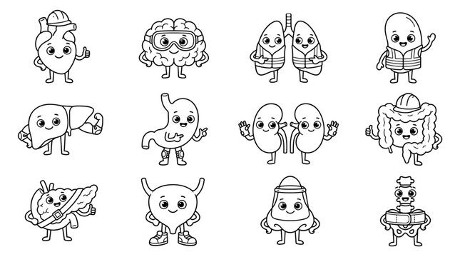 set of cute human organ characters with happy faces in outline style, anatomy educational icons for medical school, biology posters, health awareness