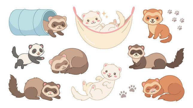 Set of ferrets in various poses sleeping, playing in tunnel, relaxing in hammock, vector illustrations, pet animal collection, cute wildlife