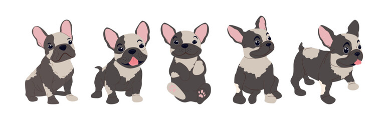 Collection of cute french bulldog puppy in various poses sitting lying standing. Flat vector illustration set of pet animal characters for sticker sheet, patterns and prints.