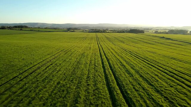 Aerial photography of green farmland and vast fields, aerial photography of green fields