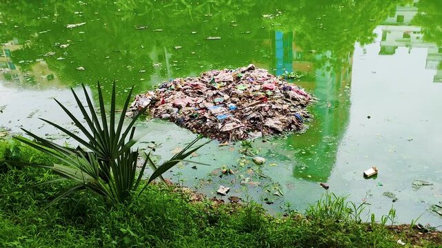 Piles of dirty garbage float in the gulshan lake water, with lush green nature and city apartment buildings in the background.