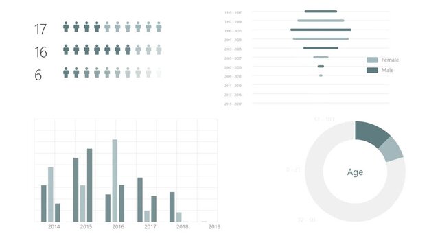 Data Visualization Dashboards with Various Charts and Statistics.