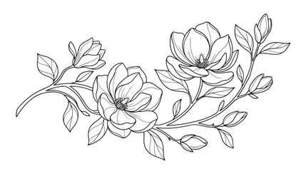 Elegant magnolia flower line art vector, botanical branch with blooming blossoms and leaves, minimalist floral sketch for wedding invitations © fanii996
