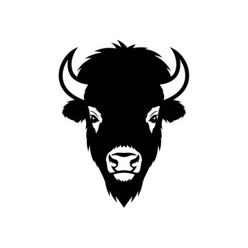 Bison head vector illustration in minimalist black and white