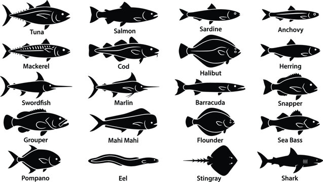 Ocean and Saltwater Fish Black Silhouette Icon Set with Labels Featuring Tuna Salmon Mackerel Swordfish and Shark Symbols for Seafood Designs