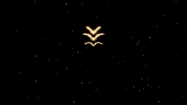 Golden glitter heart shape on alpha channel, sparkling and shine with little star heart shape, Festive effect with harts for married, honeymoon or wedding party. Valentine&rsquo;s Day motion