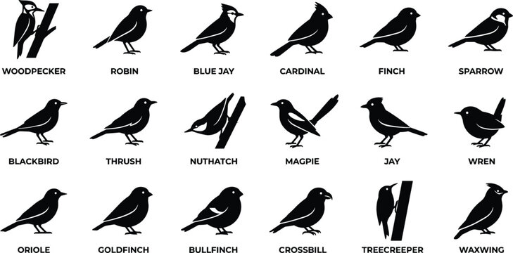 Small Wild Bird and Songbird Silhouette Icon Set with Labels Featuring Woodpecker Robin Blue Jay Cardinal and Sparrow Symbols for Nature Designs