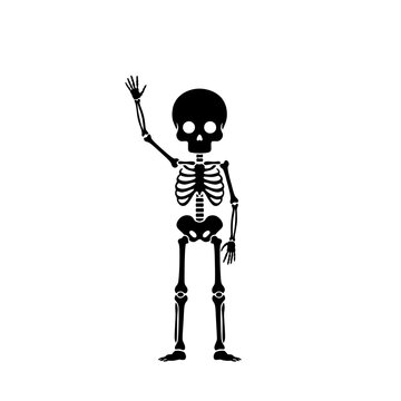 Cute cartoon skeleton waving hello vector illustration isolated on white background