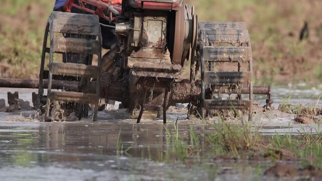 Tractor Tilling Muddy Field: A rugged tractor churns through a muddy field, its wheels deep in the water and soil, preparing the land for cultivation 