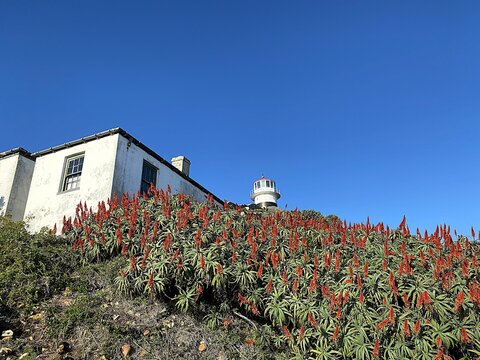 New Cape Point Lighthouse in South Africa
