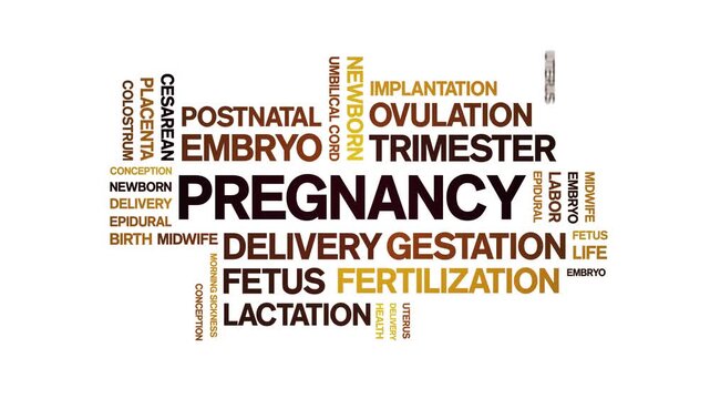 Pregnancy animated word cloud-animation tag kinetic typography seamless loop.