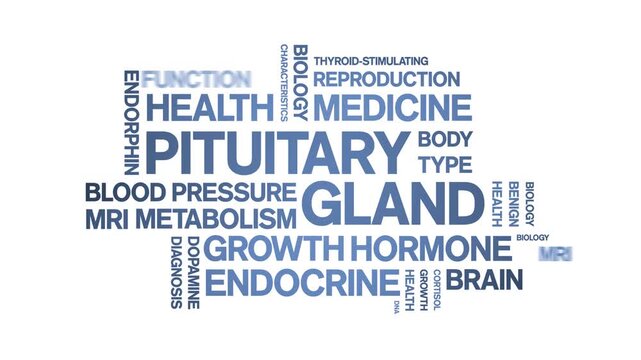Pituitary Gland animated word cloud-animation tag kinetic typography seamless loop.