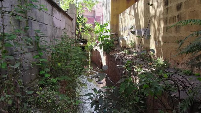 A drone view of polluted Bengaluru residential drainage canals reveals foul-smelling water and overgrown weeds