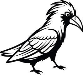 Fototapeta premium Minimal continuous line vector illustration of crow raven bird, elegant abstract design symbolizing mystery, intelligence, symbolism, nature, decorative artwork
