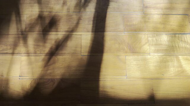 Warm wooden parquet floor with softly moving tree shadows in natural sunlight. Elegant minimalist background for interior design, luxury branding, wellness, and motion graphics.