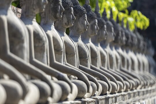 Row of Buddha statues (Bhumispara-mudra, Buddha Gautama at the moment of enlightenment), Great Chedi Chaya Mongkol, Wat Yai Chai Mongkon, Ayutthaya, Thailand