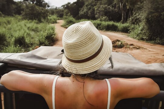 Tourist woman in safari tour vehicle watching searching wild Asian elephants in grassland wildlife encounter travel adventure nature concept