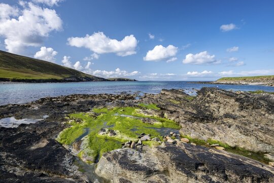 Rocky coast of Noss island, intertidal zone, Shetland Islands, Scotland, United Kingdom