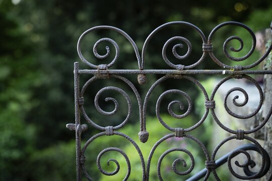 Close-up view of a rusty iron gate with spirals against a blurred green background, Bardini Garden or Giardino Bardini, Florence