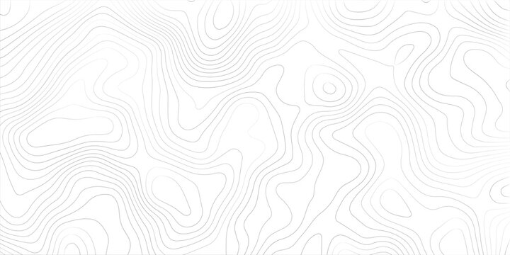 Topographic map lines pattern white background topography abstract geometric cartography geography elevation background navigation minimalist technical monochrome illustration backdrop