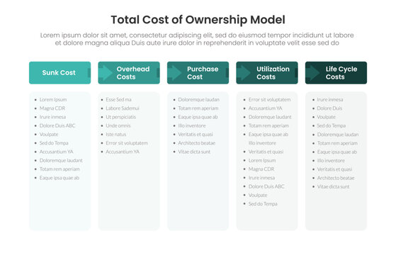 Total cost of ownership model infographic with sunk, overhead, purchase, utilization and life cycle cost column table layout