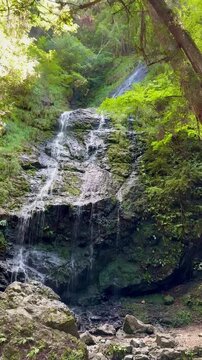 透き通る清流 日本の夏　　滝　

