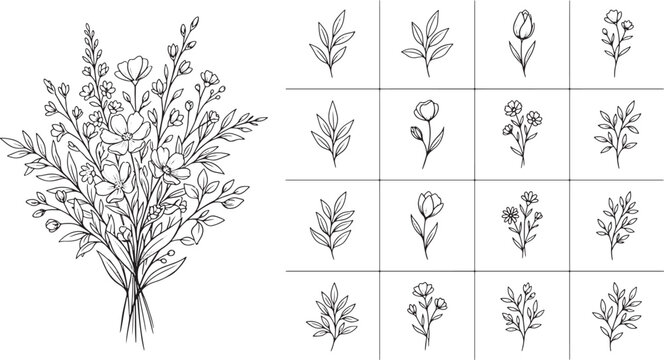 Hand drawn floral bouquet and individual botanical elements collection in black ink sketch style for design