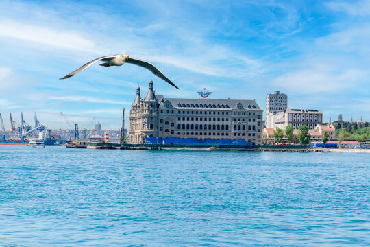 Istanbul, Turkey: May 17, 2026: seagull flying over sea with historic Haydarpaşa Train Station in Kadık&ouml;y
