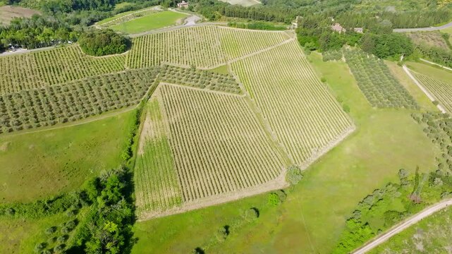 Aerial drone view of scenic wine farm estate and rolling hills in Tuscany, Italy