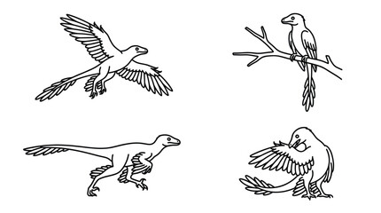 Pterodactyl flying dinosaur sketches for coloring. © rodin