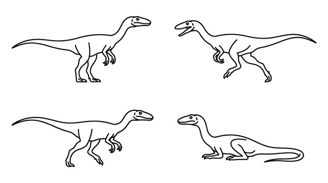 Raptor dinosaur sketches for coloring book.