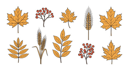 Colorful autumn leaves and red berry sprig collection. © Sebastian