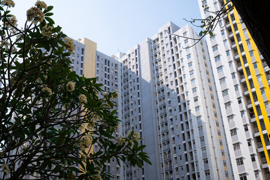 Modern high-rise buildings stand tall against clear sky. Green tree branches frame the scene with white flowers. Sunlight glints off glass and concrete surfaces