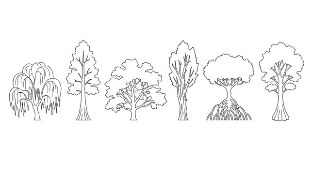 Isolated set of six varied deciduous trees as simple black line icons, architectural cad sketch elements for landscaping plan and site design