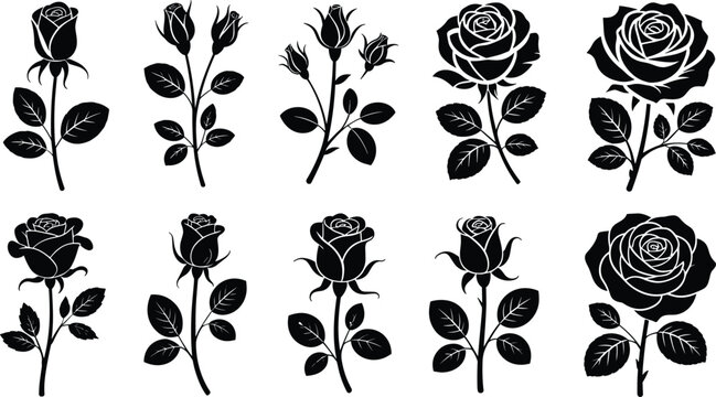 Black rose silhouette set with blooming flowers stems leaves and buds isolated on white background vector illustration