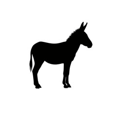 Fototapeta premium Black Silhouette of a Standing Donkey