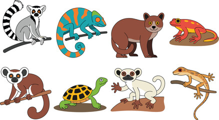 Fototapeta premium Madagascar wildlife cartoon vector set including ring tailed lemur chameleon fossa frog tortoise sifaka gecko isolated white background