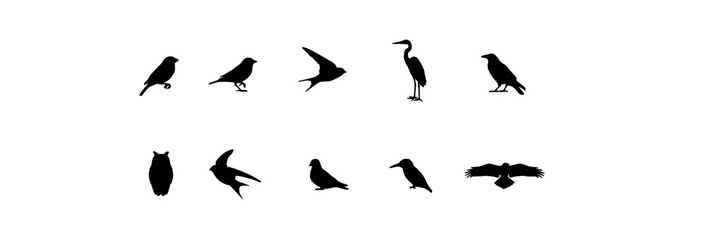 Obraz premium Birds in Various Poses as Black Silhouettes on a White Background Featuring Nature, Wildlife, Animals with Flying and Perched