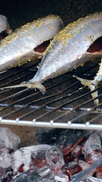 Vertical panoramic close-up video of cooking mackerel fish on a grill barbecue