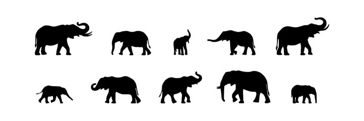 Fototapeta premium Elephants in Various Poses as Black Silhouettes on White Background Featuring Elephant, Silhouette, Animal with Mammal